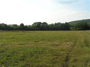 Celá plocha TML je kosená