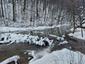 kačica divá (20.2.2023)