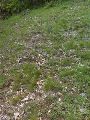 Záber na monitorovaný biotop.