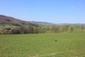 krkavec čierny (23.4.2023)