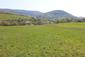 krkavec čierny (24.4.2023)