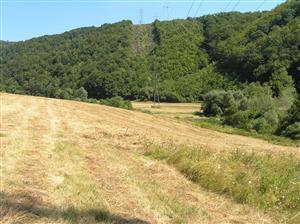 Pohľad na TML s malou časťou nepokosenej plochy