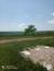 bocian čierny (19.5.2023)
