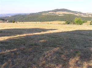 Veľká väčšina plochy je pravidelne kosená