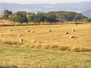 Balíkovanie suchej pokosenej trávy