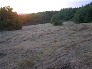 : Pohľad na plochu TML