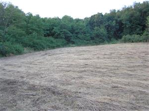 Biotop je kosený 2x ročne