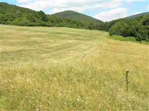 JV hranica plochy je vymedzená oplôtkom a odlišným spôsobom manažmentu