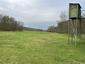 trasochvost žltý (29.4.2023)