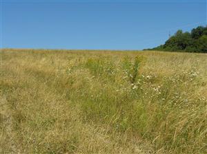 Pohľad na plochu TML