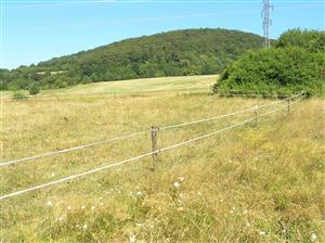 Oplôtok s extenzívnym pasením