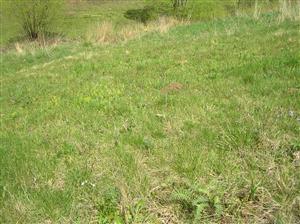 Pohľad na plochu TML