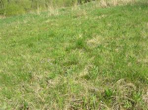 Pohľad na plochu TML