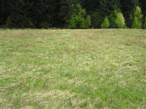 Pohľad na plochu TML