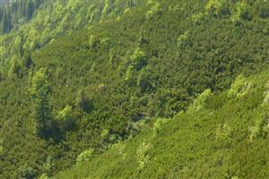 lokalita