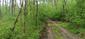trasochvost biely (3.5.2023)