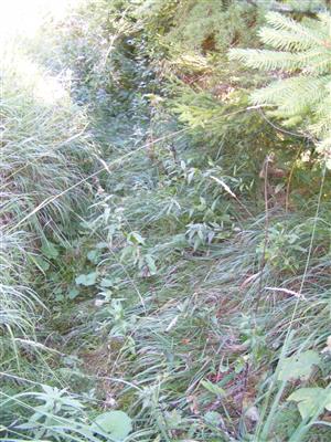 odvodňovací kanál