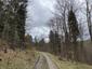 Sýkorka čiernohlavá (14.5.2023)