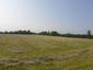 trasochvost biely (13.5.2023)