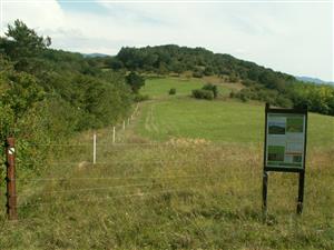 pohľad na TML_ColiMyrm_009 Beckov Skalice 10.8.2014