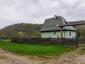 glezg hrubozobý ( obyčajný) (28.4.2023)