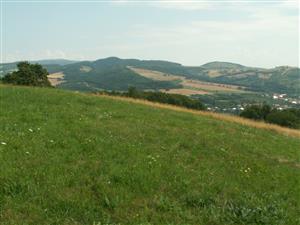 pohľad na TML_ColiMyrm_010 Moravské Lieskové 27.7.2014