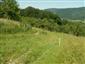 pohľad na TML_ColiMyrm_007 Grúň 7.6.2014