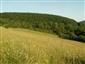 pohľad na TML_ColiMyrm_005 Zbehová 8.6.2014