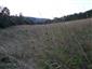 Nížinné a podhorské kosné lúky (13.8.2013)