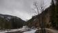 sova lesná (obyčajná) (19.3.2023)