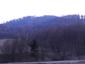 sova dlhochvostá (25.3.2023)