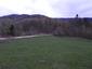 sova lesná (obyčajná) (27.4.2023)