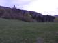 sova lesná (obyčajná) (27.4.2023)