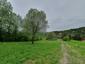 trasochvost biely (19.5.2023)