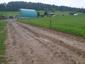 Žltochvost lesný ( hôrny) (7.6.2023)