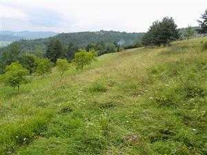 centralna cast lokality