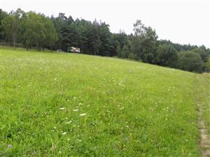 severovychodna kosena cast lokality