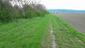 Škovránik stromový (1.5.2023)