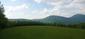 krkavec čierny (18.6.2023)