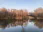 kršiak rybár (rybožravý) (13.11.2022)