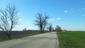 sova lesná (obyčajná) (21.4.2023)