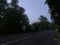 výrik obyčajný (lesný) (7.5.2023)