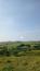 krkavec čierny (1.7.2023)
