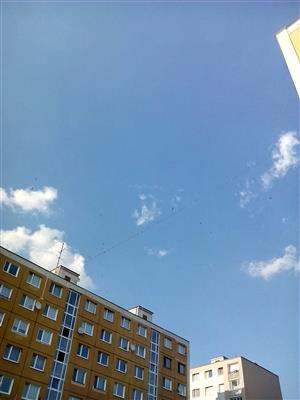 IMG_20150806_182204.jpg