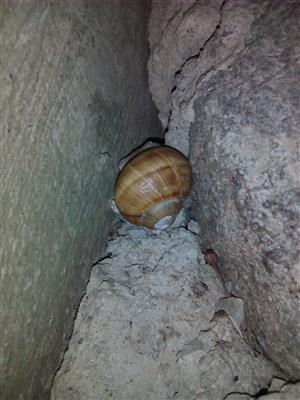 20150811_065639.png