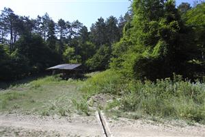 Biotop Euplagia quadripunctaria