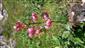 20150711_090525.png