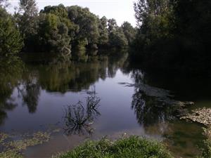 Stretavka, sútok Čiernej vody (vpravo) a rieky Uh (vľavo)