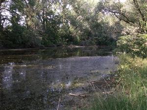 Stretavka, mŕtve rameno Uhu