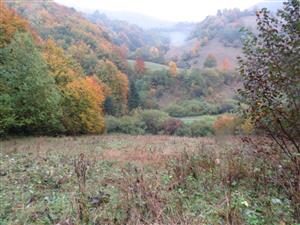 lokalita s strusom medveďa